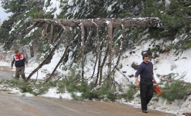 Uludağ Yolu Kapandı