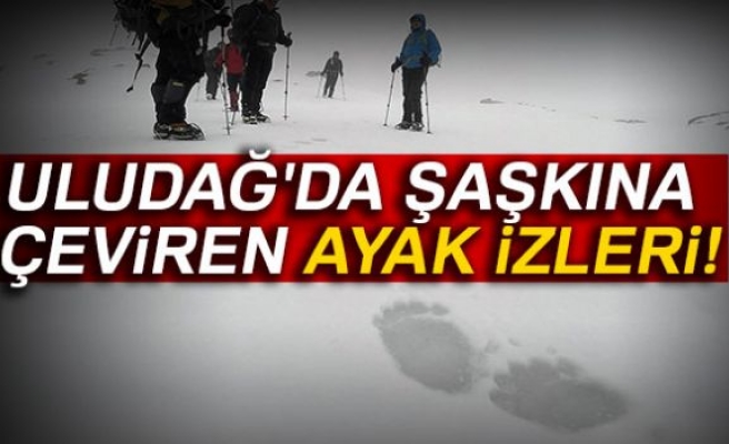 Uludağ'da şaşkına çeviren ayak izleri