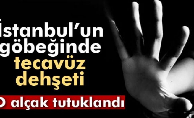 Üniversite öğrencisine tecavüz eden alçak tutuklandı