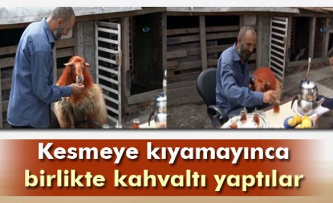 Ünlülerden Kurban Bayramı mesajları