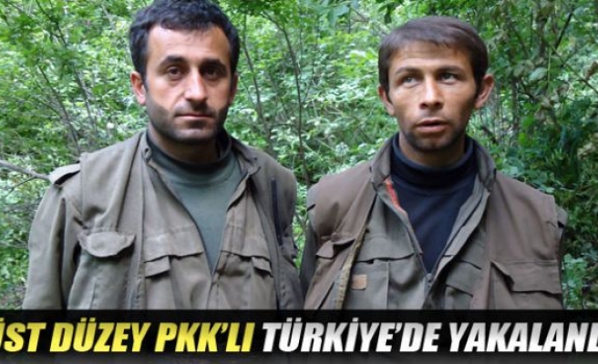 Üst düzey PKK’lı Türkiye’de yakalandı