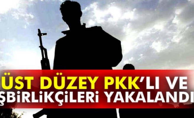 Üst düzey PKK’lı ve işbirlikçileri yakalandı