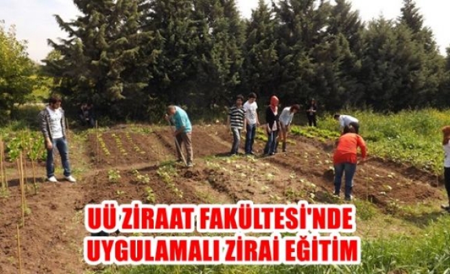 UÜ Ziraat Fakültesi’nden uygulamalı zirai eğitim