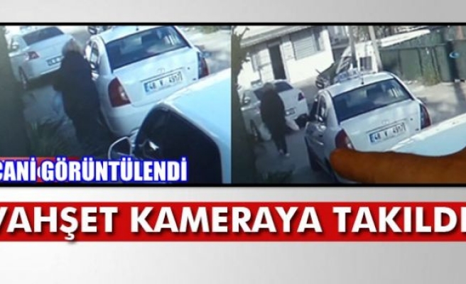 VAHŞET KAMERAYA TAKILDI!