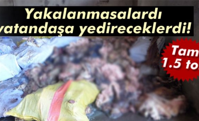 Vatandaşa çürümüş sakatat yedireceklerdi