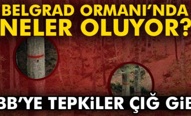 Vatandaşlardan ‘Belgrad Ormanı’ tepkisi