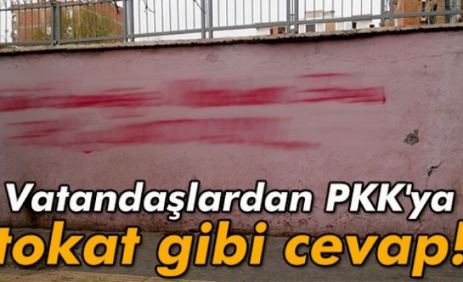 Vatandaşlardan PKK'ya tokat gibi cevap