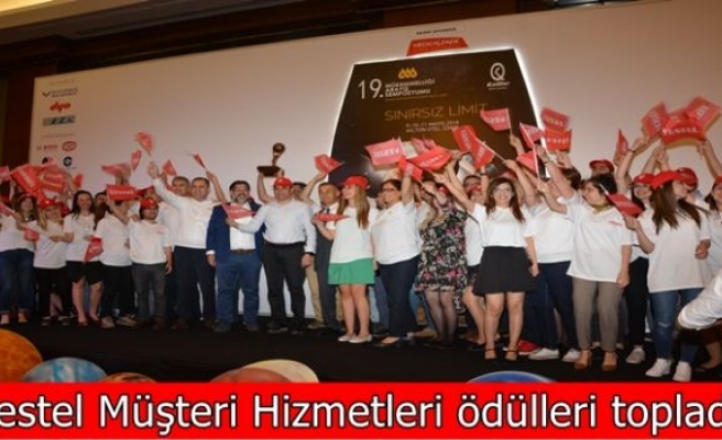 Vestel Müşteri Hizmetleri ödülleri topladı