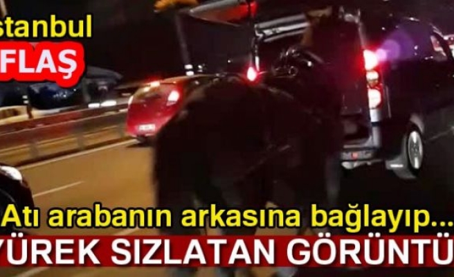 VİDANSIZ SÜRÜCÜ!