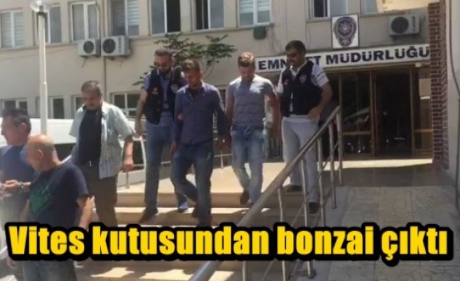 Vites kutusundan bonzai çıktı