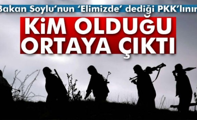 Yakalanan üst düzey PKK'lı yönetici kim?