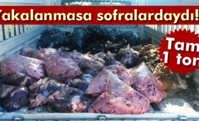 Yakalanmasa sofralardaydı: Tam 1 ton...