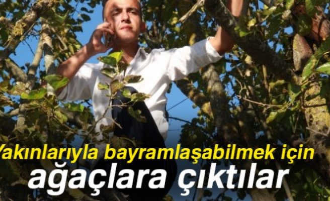 YAKINLARIYLA BAYRAMLAŞMAK İÇİN AĞAÇLARA ÇIKTILAR!