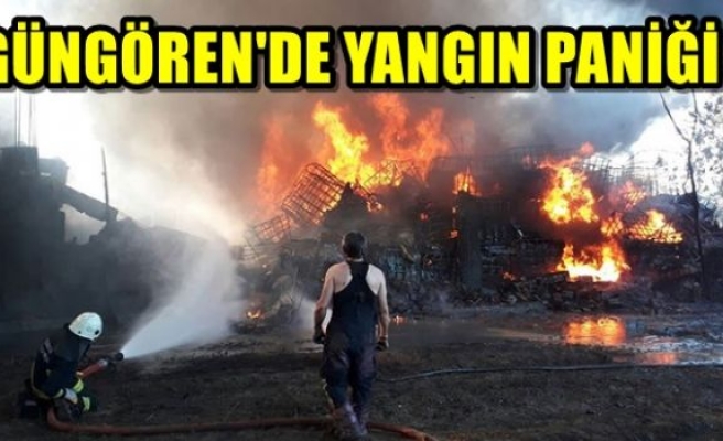 Yangın Paniği