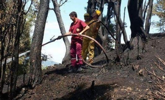 Yangını söndürmeye çalışan vatandaş yaralandı