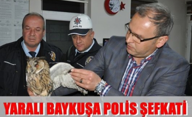 Yaralı baykuşa polis şevkati