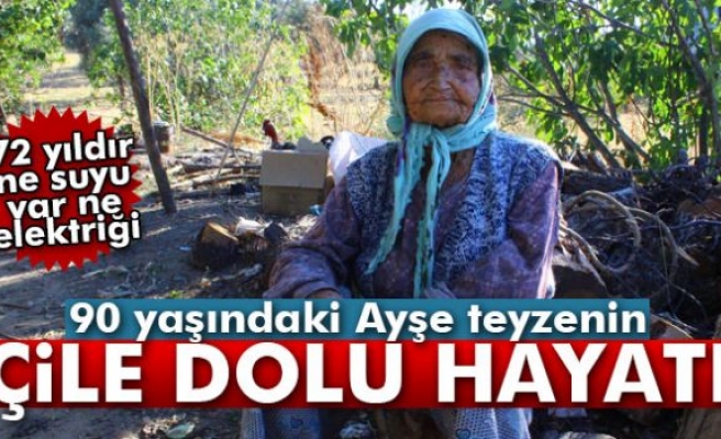 Yaşlı kadının dağda çile dolu hayatı