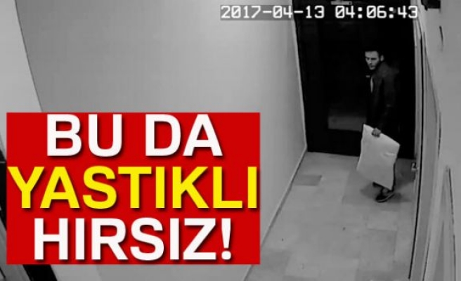 YASTIKLI HIRSIZ!