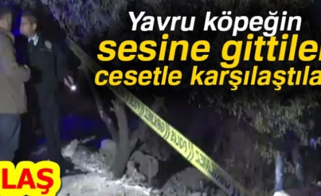 YAVRU KÖPEĞİN SESİNE GİTTİLER CESETLE KARŞILAŞTILAR!