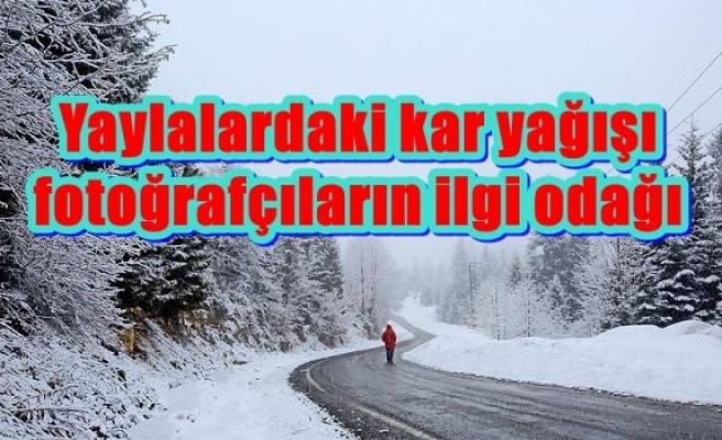 Yaylalardaki kar yağışı fotoğrafçıların ilgi odağı