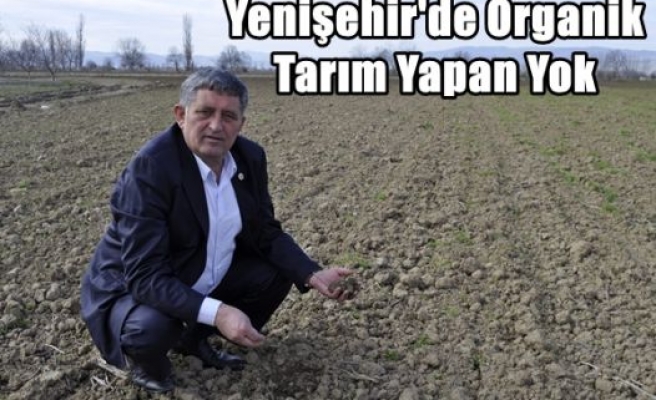 Yenişehir'de Organik Tarım Yapan Yok