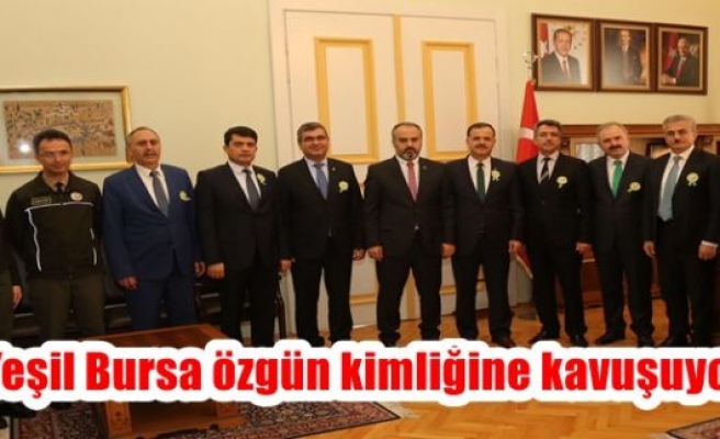 Yeşil Bursa özgün kimliğine kavuşuyor