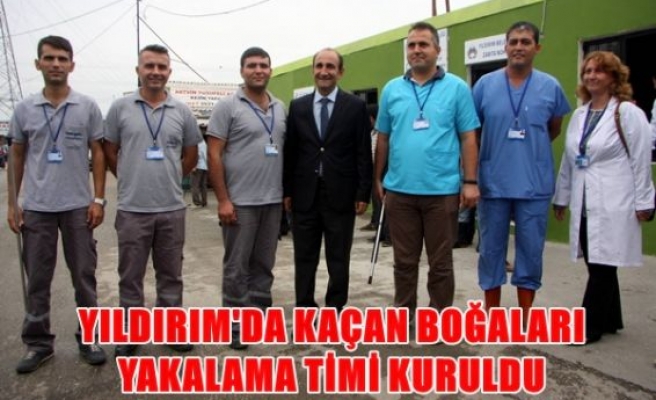 Yıldırım'da kaçan boğalara yakalama timi kuruldu