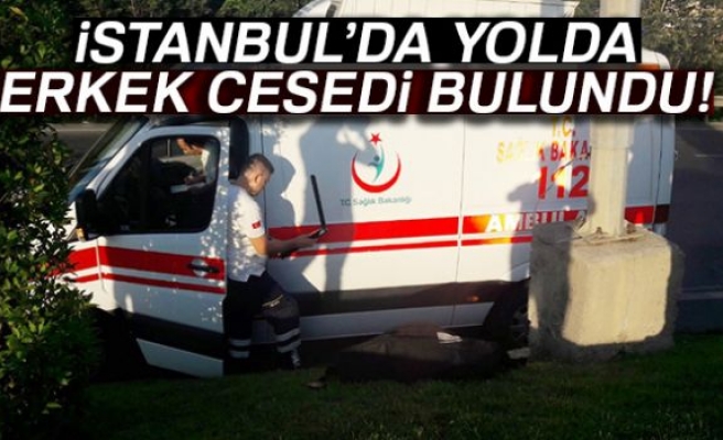 Yol kenarında erkek cesedi bulundu