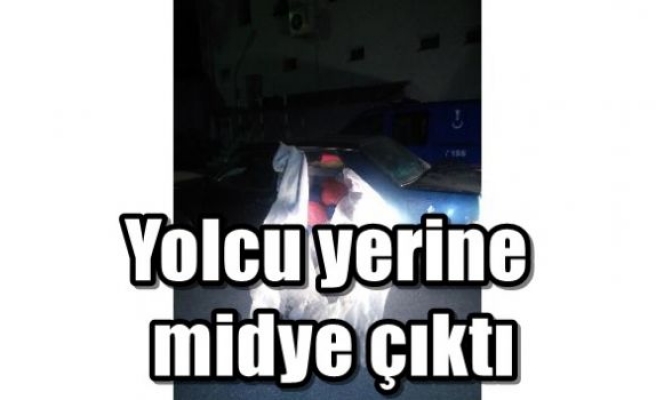 Yolcu yerine midye çıktı 