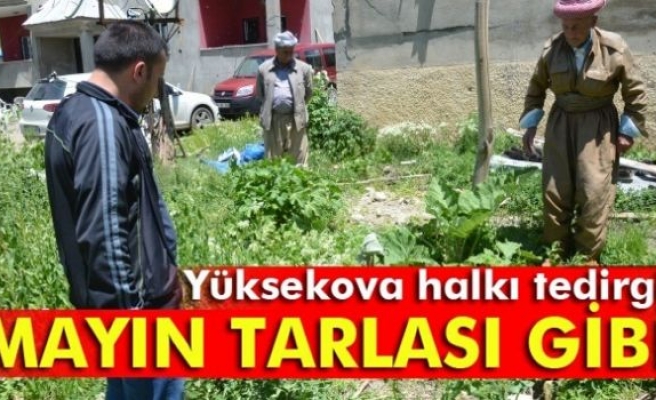 Yüksekova'da patlamamış mühimmat korkutuyor