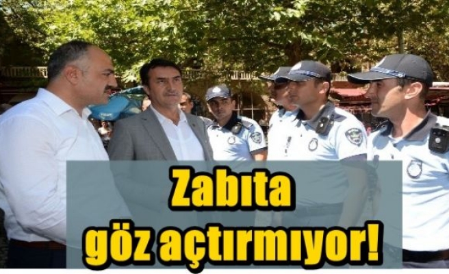 Zabıta göz açtırmıyor!