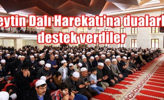 Zeytin Dalı Harekatı'na dualarla destek verdiler