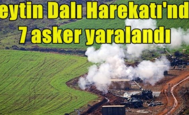 Zeytin Dalı Harekatı'nda 7 asker yaralandı