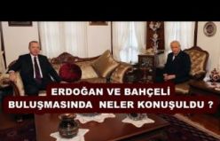 ERDOĞAN VE BAHÇELİ BULUŞMASINDA NELER KONUŞULDU?