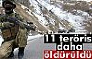 11 terörist daha öldürüldü