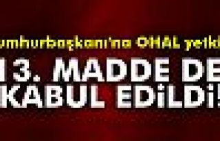 13. madde de kabul edildi