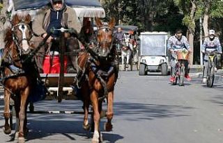 Adalar'da fayton turları durduruldu