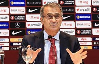 Şenol Güneş: Ortak hayalimiz final olsun