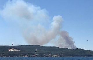 Çanakkale'de orman yangını