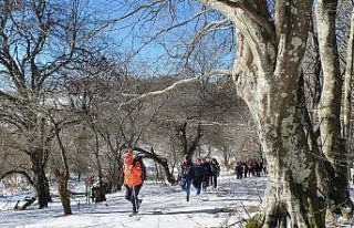 Doğaseverler Trakya'nın zirvesi Mahya Dağı'na...