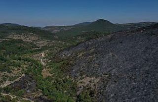 Balıkesir'in Kepsut ilçesindeki orman yangınında...