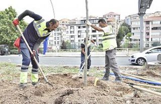 ABB YEŞİL BİR BAŞKENT İÇİN ÇALIŞIYOR