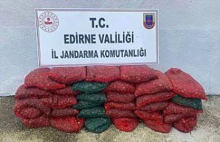 Edirne'de 1 ton kum midyesi ile yakalanan 2 kişiye...