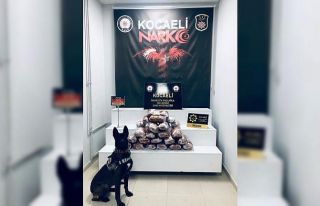 Kocaeli'de durdurulan tırda 20 kilo 800 gram...