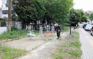 Mudanya'da park ve yeşil alanlara bakım