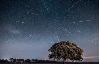 Perseid Meteor Yağmuru Gözlem Şöleni'ne geri...