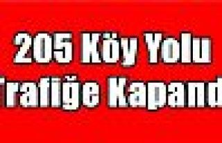 205 Köy Yolu Trafiğe Kapandı