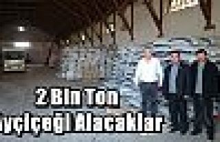 2 Bin Ton Ayçiçeği Alacaklar