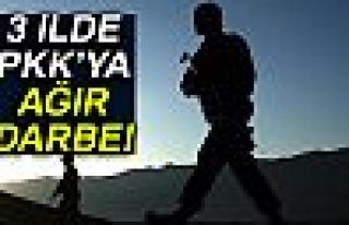 3 İLDE PKK'YA AĞIR DARBE!