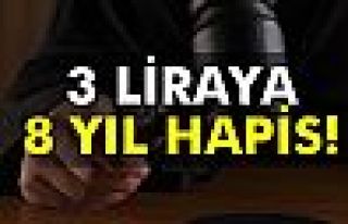 3 liraya 8 yıl hapis